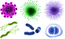 Introduction to microorganisms